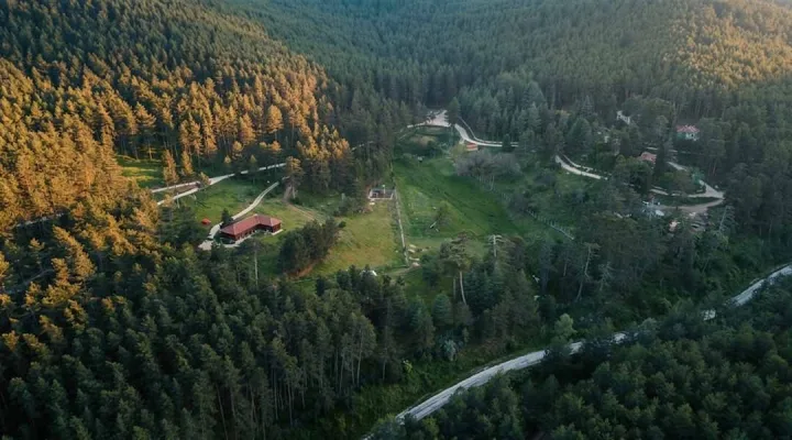 Çatacık Ormanları