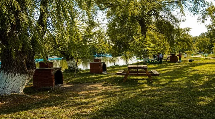 Regülatör Piknik Alanı - Foto 3