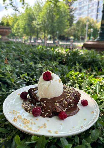 Vişneli Brownie